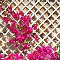 Celosia Pvc 48 Mm Panel Para Valla Jardin en varios colores